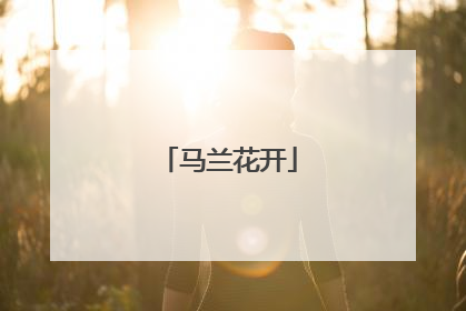 马兰花开