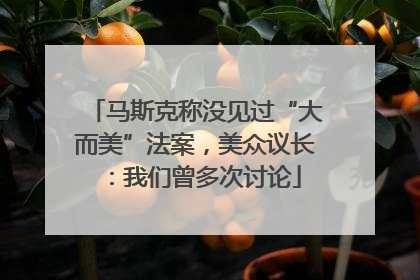 马斯克称没见过“大而美”法案，美众议长：我们曾多次讨论