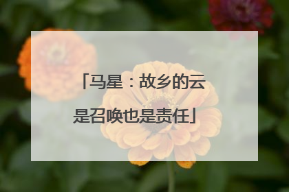 马星：故乡的云是召唤也是责任