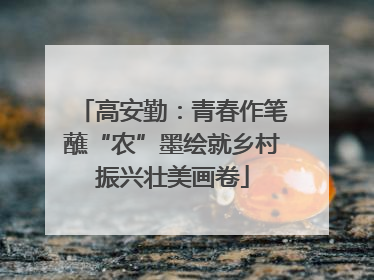 高安勤：青春作笔蘸“农”墨绘就乡村振兴壮美画卷