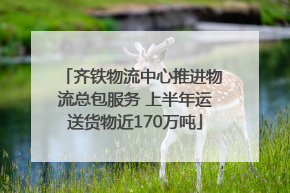 齐铁物流中心推进物流总包服务 上半年运送货物近170万吨