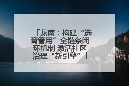 龙南：构建“选育管用”全链条闭环机制 激活社区治理“新引擎”