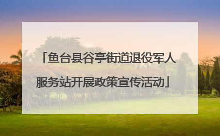 鱼台县谷亭街道退役军人服务站开展政策宣传活动