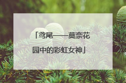 鸢尾——莫奈花园中的彩虹女神
