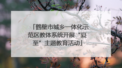 鹤壁市城乡一体化示范区教体系统开展“夏至”主题教育活动