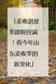 麦收进度条即将拉满！看今年山东麦收季的新变化