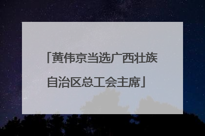 黄伟京当选广西壮族自治区总工会主席