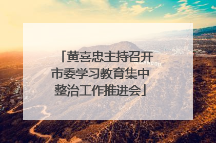 黄喜忠主持召开市委学习教育集中整治工作推进会