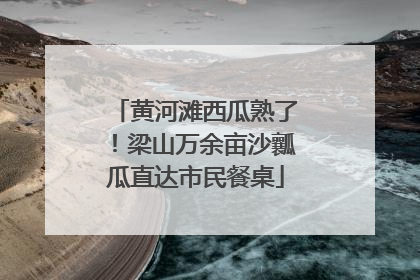 黄河滩西瓜熟了！梁山万余亩沙瓤瓜直达市民餐桌