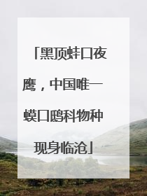 黑顶蛙口夜鹰，中国唯一蟆口鸱科物种现身临沧