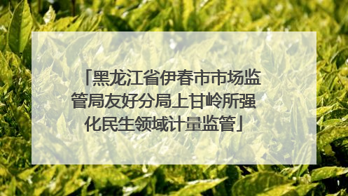 黑龙江省伊春市市场监管局友好分局上甘岭所强化民生领域计量监管