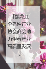 黑龙江：全省性行业协会商会助力伊春产业高质量发展
