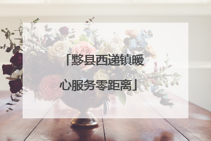 黟县西递镇暖心服务零距离