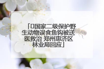 ﻿国家二级保护野生动物误食鱼钩被送医救治 郑州惠济区林业局回应