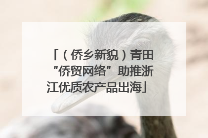 （侨乡新貌）青田“侨贸网络”助推浙江优质农产品出海