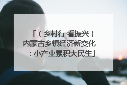 （乡村行·看振兴）内蒙古乡镇经济新变化：小产业累积大民生