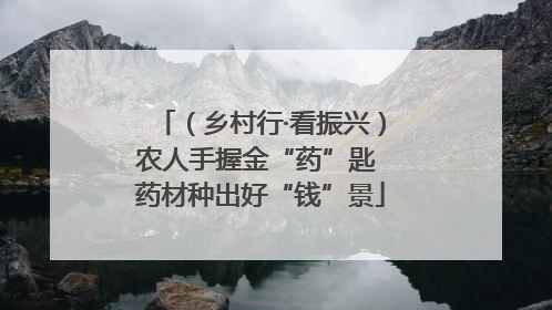 （乡村行·看振兴）农人手握金“药”匙 药材种出好“钱”景