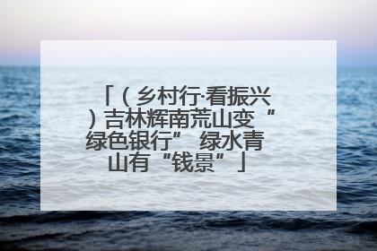 （乡村行·看振兴）吉林辉南荒山变“绿色银行” 绿水青山有“钱景”