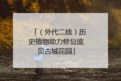 （外代二线）历史植物助力修复庞贝古城花园