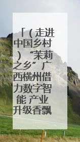 （走进中国乡村）“茉莉之乡”广西横州借力数字智能 产业升级香飘海外