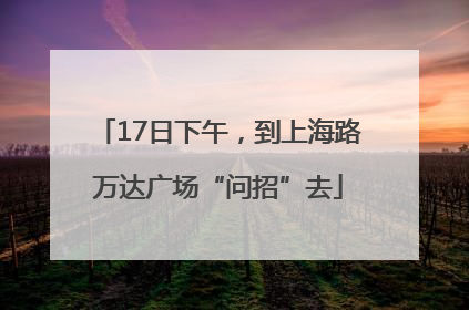 17日下午，到上海路万达广场“问招”去