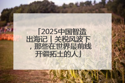 2025中国智造出海记丨关税风波下，那些在世界最前线开疆拓土的人