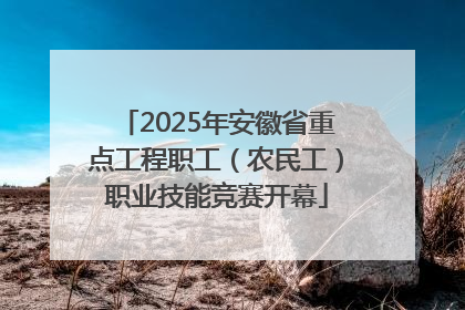 2025年安徽省重点工程职工（农民工）职业技能竞赛开幕