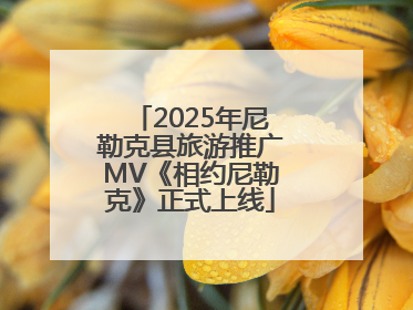 2025年尼勒克县旅游推广MV《相约尼勒克》正式上线