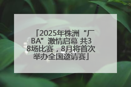 2025年株洲“厂BA”激情启幕 共38场比赛，8月将首次举办全国邀请赛