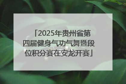 2025年贵州省第四届健身气功气舞暨段位积分赛在安龙开赛