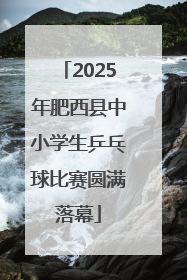 2025年肥西县中小学生乒乓球比赛圆满落幕