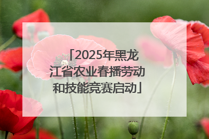 2025年黑龙江省农业春播劳动和技能竞赛启动