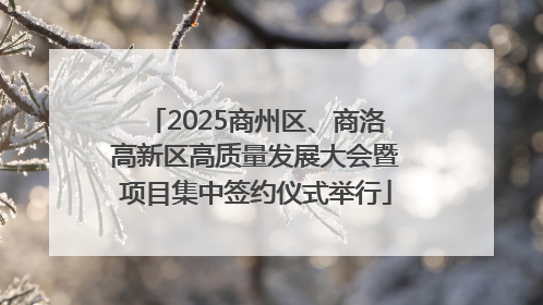 2025商州区、商洛高新区高质量发展大会暨项目集中签约仪式举行