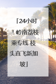 24小时！岭南荔枝乘专线 枝头直飞新加坡