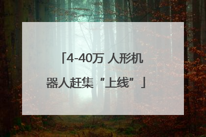 4-40万 人形机器人赶集“上线”