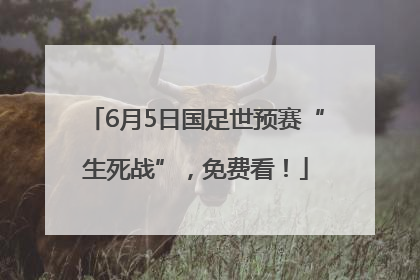 6月5日国足世预赛“生死战”，免费看！