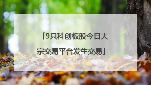 9只科创板股今日大宗交易平台发生交易