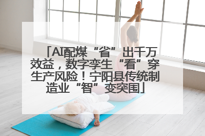 AI配煤“省”出千万效益，数字孪生“看”穿生产风险！宁阳县传统制造业“智”变突围