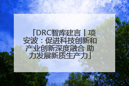 DRC智库建言丨项安波：促进科技创新和产业创新深度融合 助力发展新质生产力