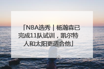 NBA选秀｜杨瀚森已完成11队试训，凯尔特人和太阳更适合他