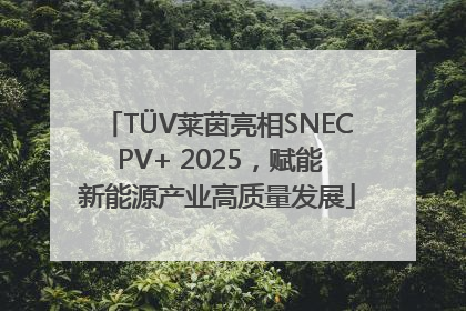 TÜV莱茵亮相SNEC PV+ 2025，赋能新能源产业高质量发展